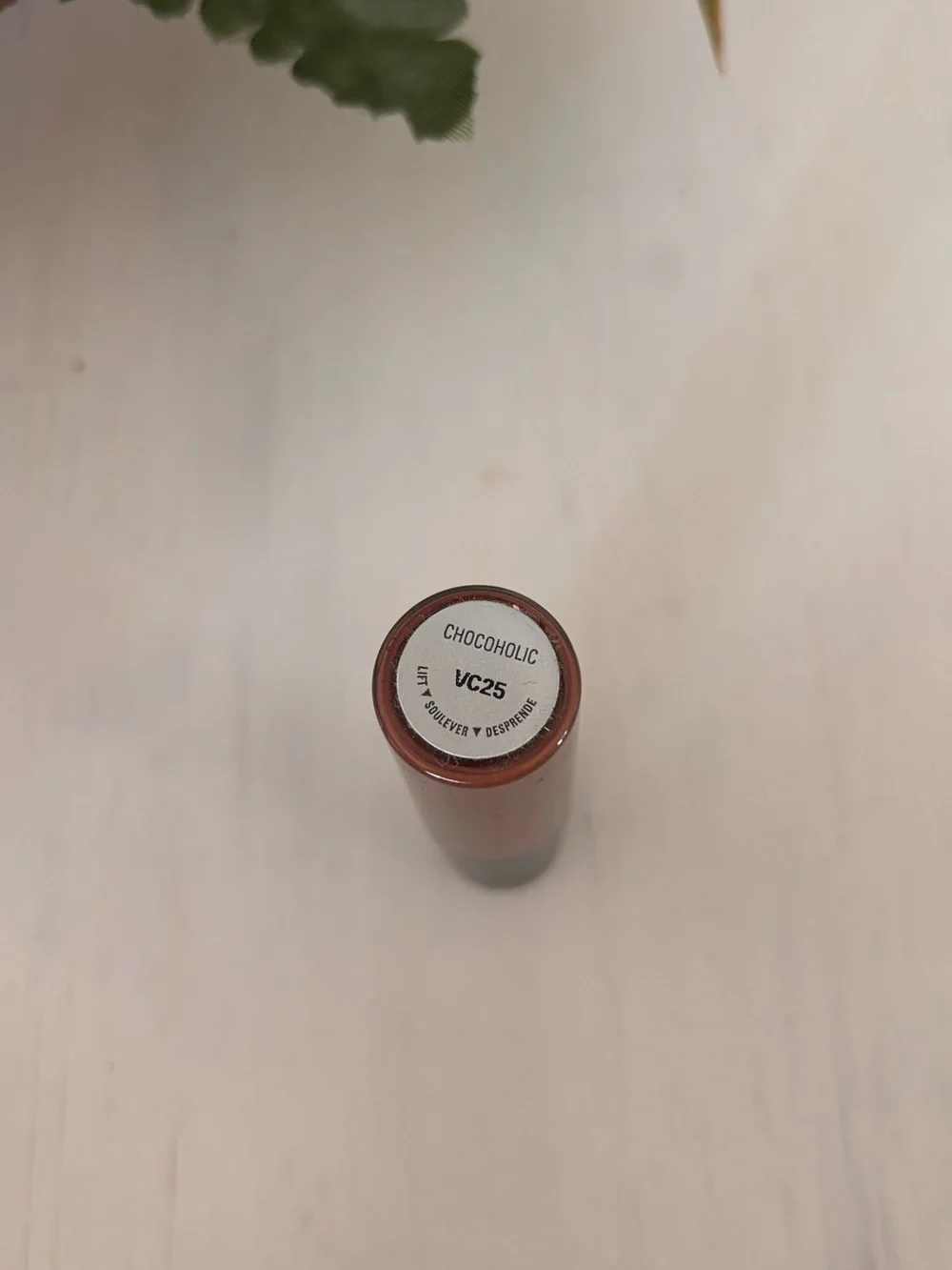 Mary Kay Liquid Lip Color — Chocoholic shade